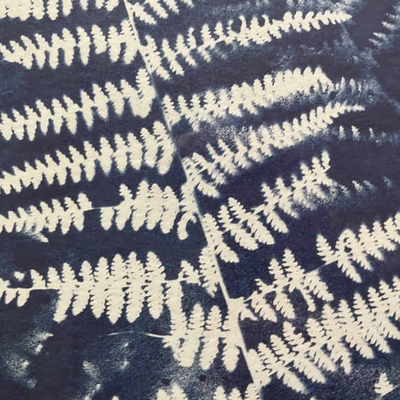 Threshold Framed Cyanotype Print - Picture 2 of 3